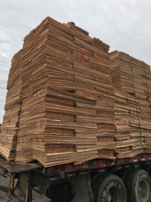造纸厂收购木片多少一吨？木头片价格是多少-图2