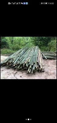 砍竹子260一吨划算吗？破碎木材能卖多少钱一吨-图1
