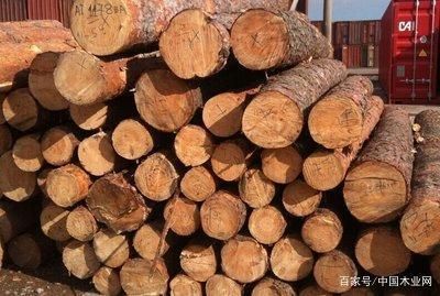 怎样计算木材的重量？十木头和干木头质量相谈多少-图2
