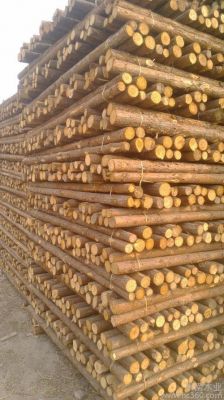 全国杉木板材批发哪里最便宜？个人出售杉杆多少钱一米-图1