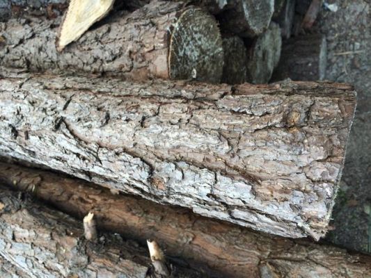 松木生虫怎么办?最近一年盖的房子，松木檩条一直掉落木头碎末是为什么？松木林条长多少-图2