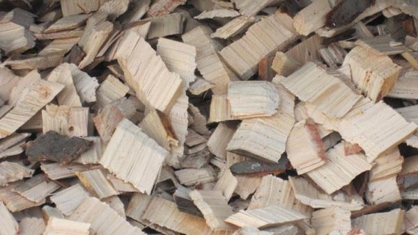 造纸厂收购木片多少一吨？木片价格多少-图2