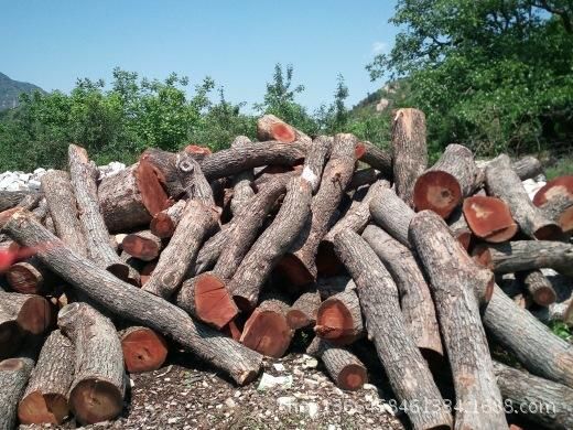 伐完木材树墩孑上長出来蘑菇能吃吗？果松木材多少钱一立-图2