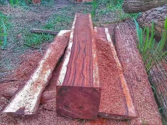 红檀木家具和缅甸花梨木家具哪个好？铁木豆一吨多少钱