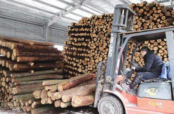 可以告诉我天津木材最大的批发市场详细地址、吗？天津到底有多少木材市场-图1