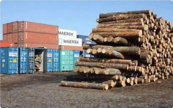 2021年俄罗斯木材价格会涨吗？俄罗斯板材多少钱一方-图3