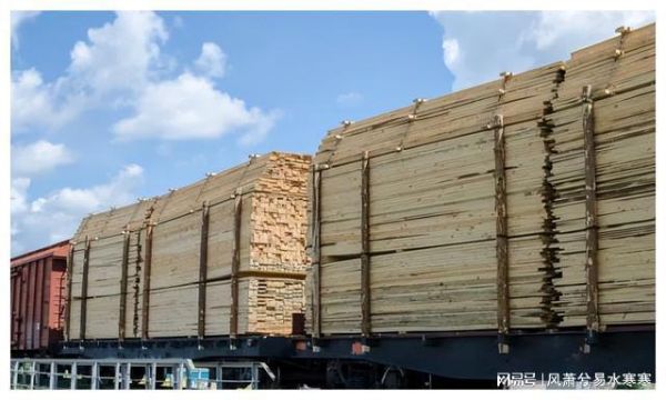 2021年俄罗斯木材价格会涨吗？俄罗斯板材多少钱一方-图2
