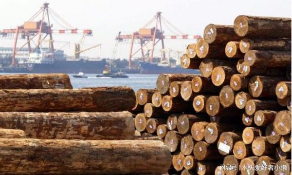 出口木材是什么贸易性质？外国出口木板多少钱-图3