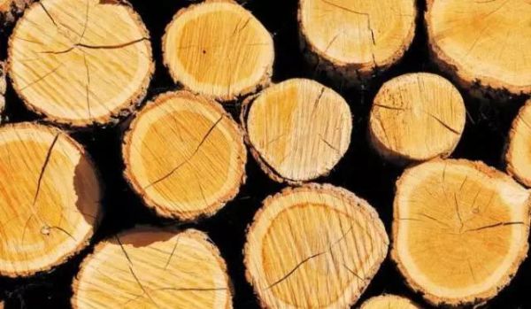 木材具有干缩湿胀的各向异性，哪个方向的变异最大？木材干缩性一般是多少-图1