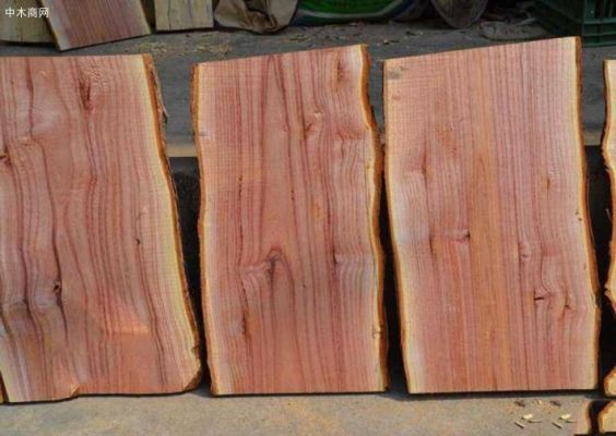 直径50厘米的香椿木可以做什么？香春木材价格多少-图2