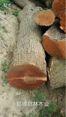 木材力学指标中强度排行？豆梨木多少钱-图3