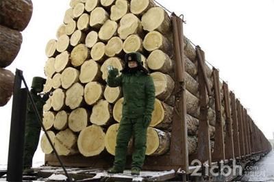 怎样去俄罗斯进木材？满洲里开出省木材证明价格多少钱-图3