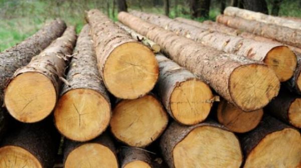 木材产量排行？俄罗斯原木多少一吨-图3