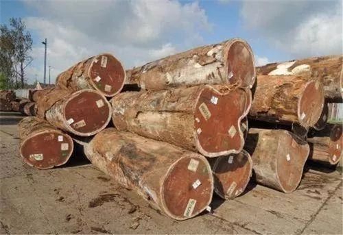 非洲名贵木材排名？非洲木材多少钱一吨