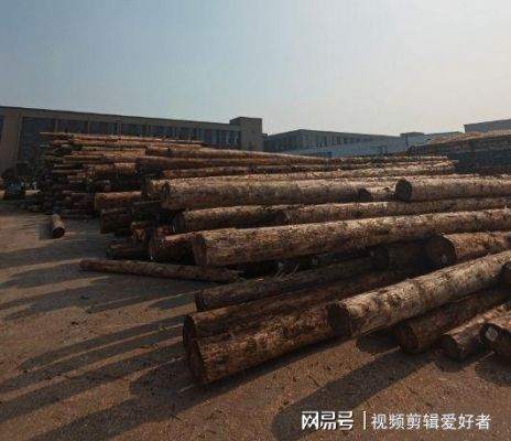世界上最贵的木材排名20名？福建杉木价格多少一方-图2