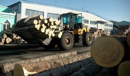 木材最多的是哪个省？黑龙江为国家提供多少木材