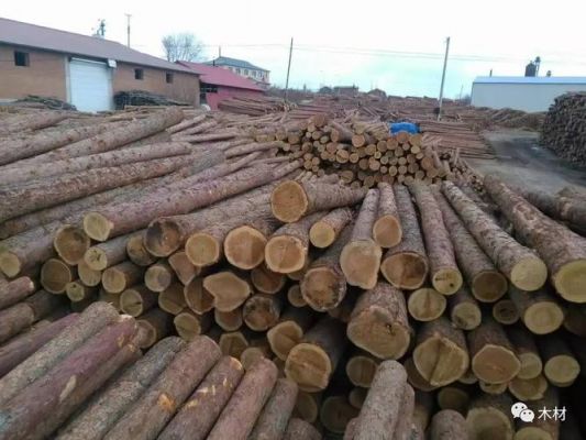 木材最多的是哪个省？黑龙江为国家提供多少木材-图3