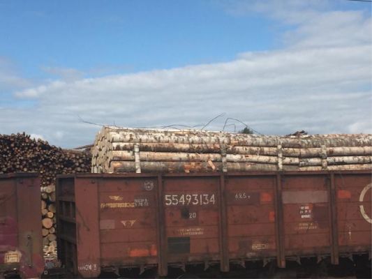 俄罗斯运输木材到中国用什么方式？俄罗斯到中国木材运费多少钱-图1