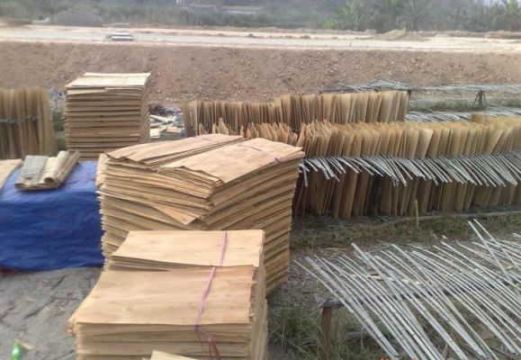 乌干达禁止桉木单板出口了吗？广东桉木单板多少钱一吨