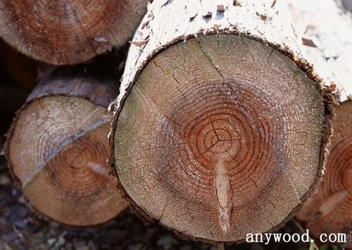 木头的特性是什么？木头有多少种形状-图3