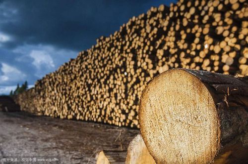 木材在160度蒸汽高温下会有啥反应？一吨蒸汽需要燃烧多少木材
