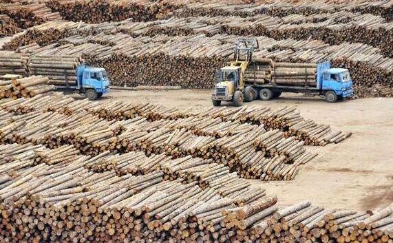 2万方等于多少吨？2万方木材是多少-图1