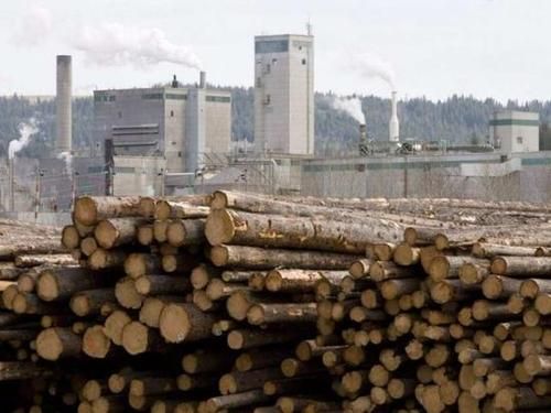 2020世界木材产量？加拿大软木在室外能用多少年-图1