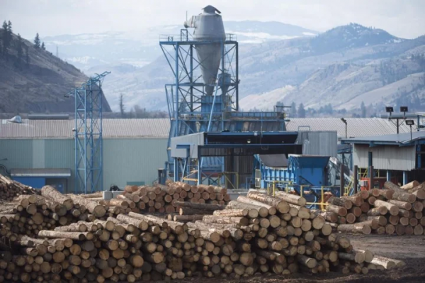 2020世界木材产量？加拿大软木在室外能用多少年-图2
