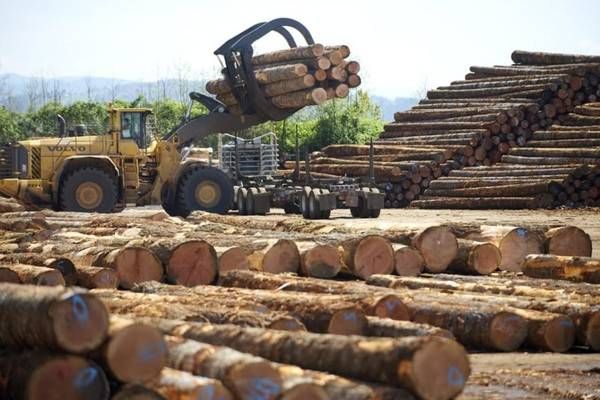 2020世界木材产量？加拿大软木在室外能用多少年-图3