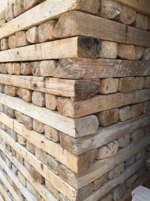 造纸厂收购木片多少一吨？木材原材料多少钱一吨-图3