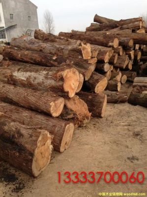 柏木，木材哪里有卖的？重庆柏木木材价格多少-图1