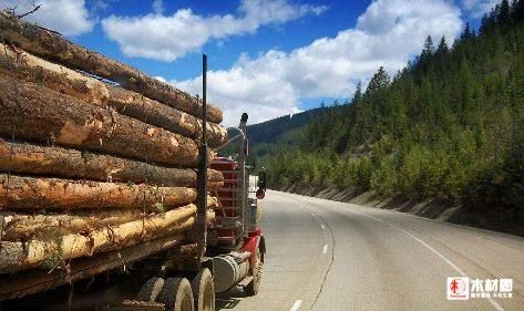 加拿大对华出口最大的是什么？加拿大一年出口多少木材-图1