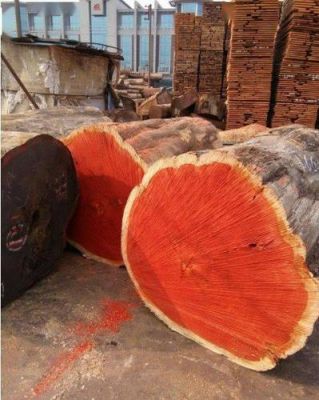 哪种木材仿红木最好？红贵宝原木多少钱一吨-图1
