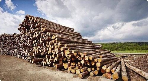 木材最多的国家排名？在美国木材价格多少-图1
