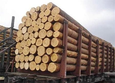 请教关于原木销售的税率？木业公司销售原木税率多少-图2