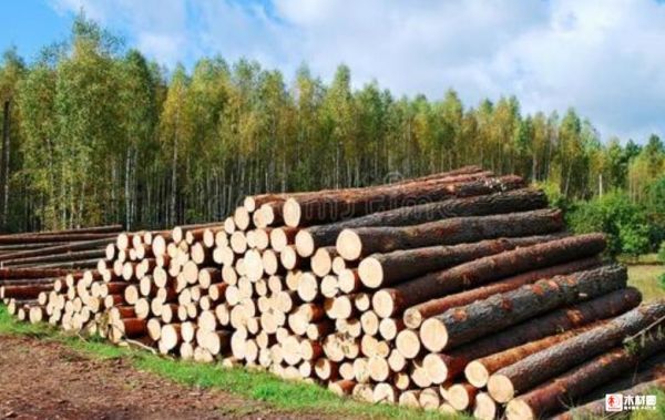请教关于原木销售的税率？木业公司销售原木税率多少-图3