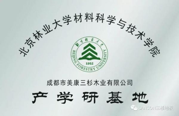 上海杉林集团是什么公司？中国木业全国有多少竹木企业-图3