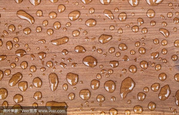 森林带水滴的木头是什么材料？木材中有多少种水-图3