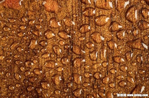 森林带水滴的木头是什么材料？木材中有多少种水-图2