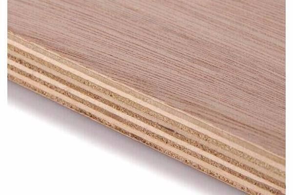 全实木和生态板有什么区别？实木生态板多少钱一张-图1