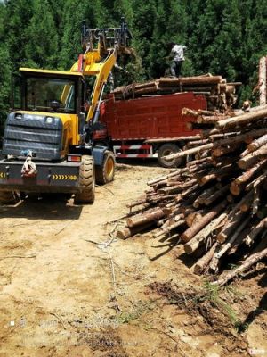 砍伐柳沙树木多少立方为一吨？一吨木柴多少大卡-图1