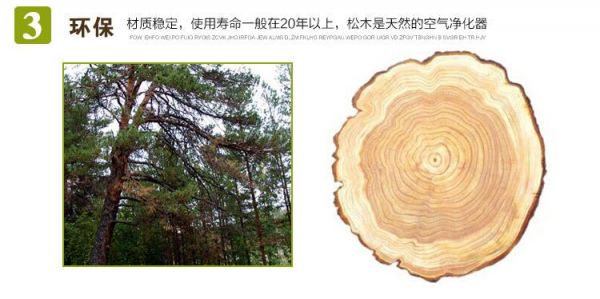 八种木头形态特征及特点？松木的特征-图1