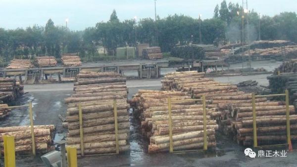 国内的主要的木材批发市场在那里？深圳木料市场-图3