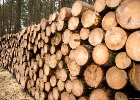 2023临沂木材市场杨木价格？成都杉木厂家