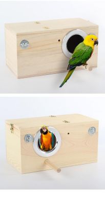 鹦鹉繁殖箱用松木好还是桐木好？松木和梧桐木-图3