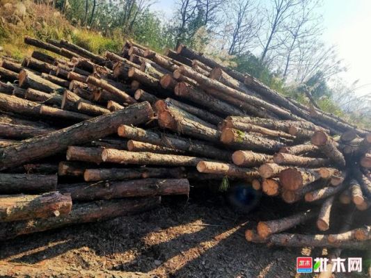 2021回收木屑多少钱一吨？收购松木价格-图3