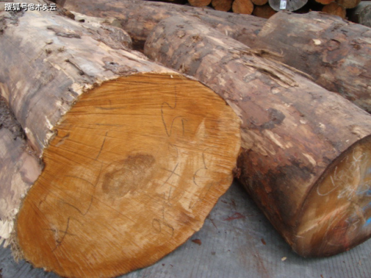 水曲柳和加拿大铁杉木哪种好？加拿大铁杉木价格-图3