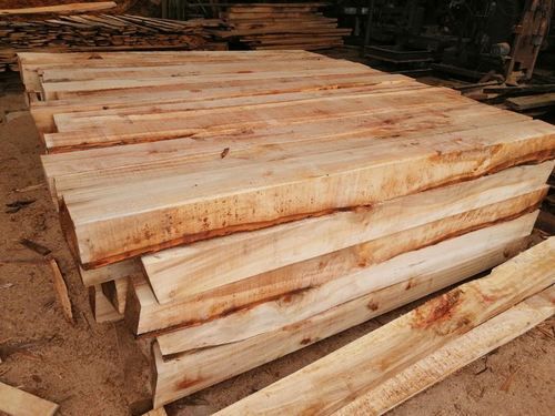 木制品加工厂利润怎么样？松木原木加工厂-图3