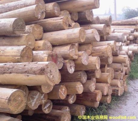 实木材质排名？福建圆杉木木材市场-图1