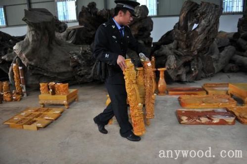 天津北京木材市场在哪里比如红木，金丝楠木红豆杉，榧木之类的（是高级木材原料市场）谢谢？天津木料市场-图1